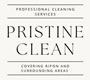 Pristine Clean logo